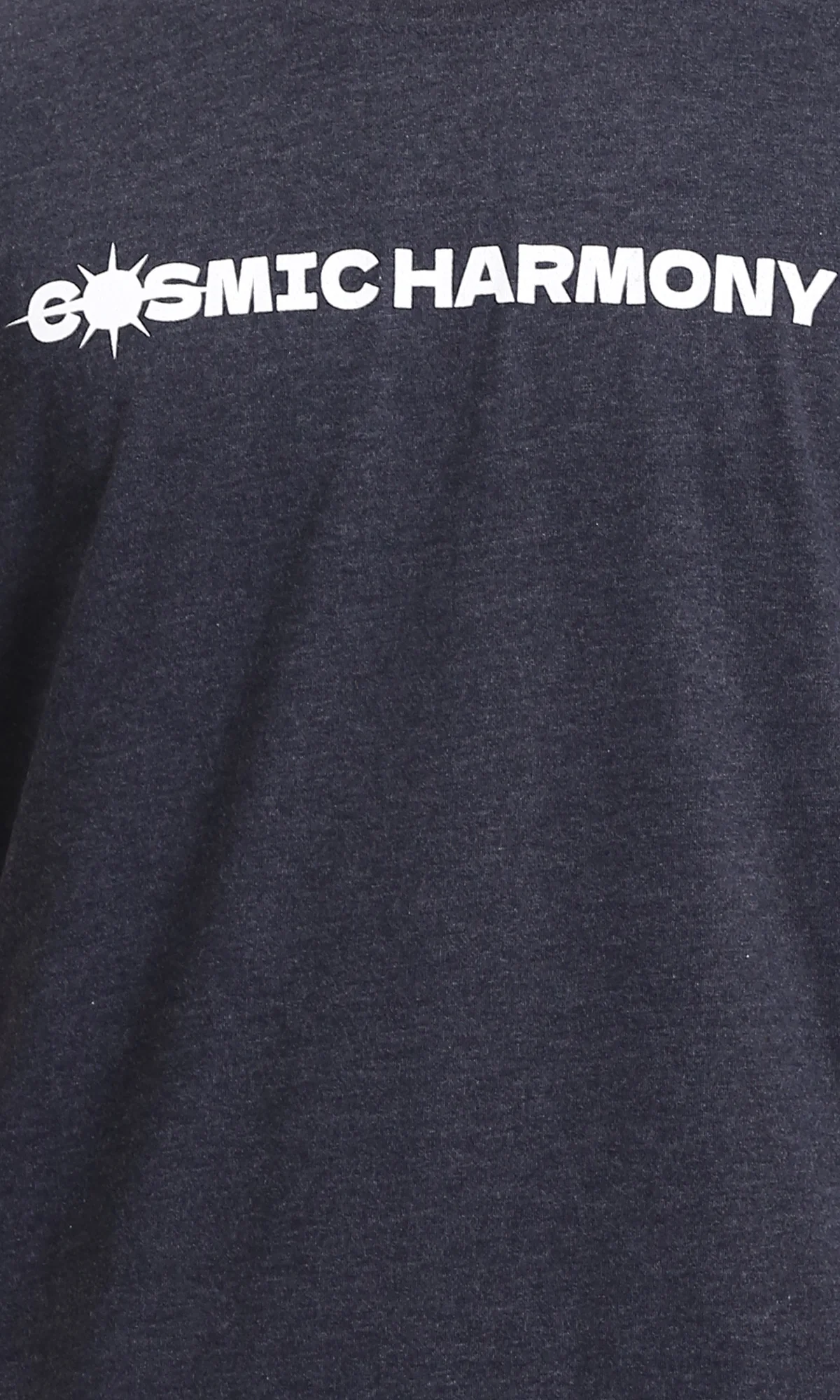 R208582 - Regular Fit Printed Summer Tee - Heather Charcoal - Image 3