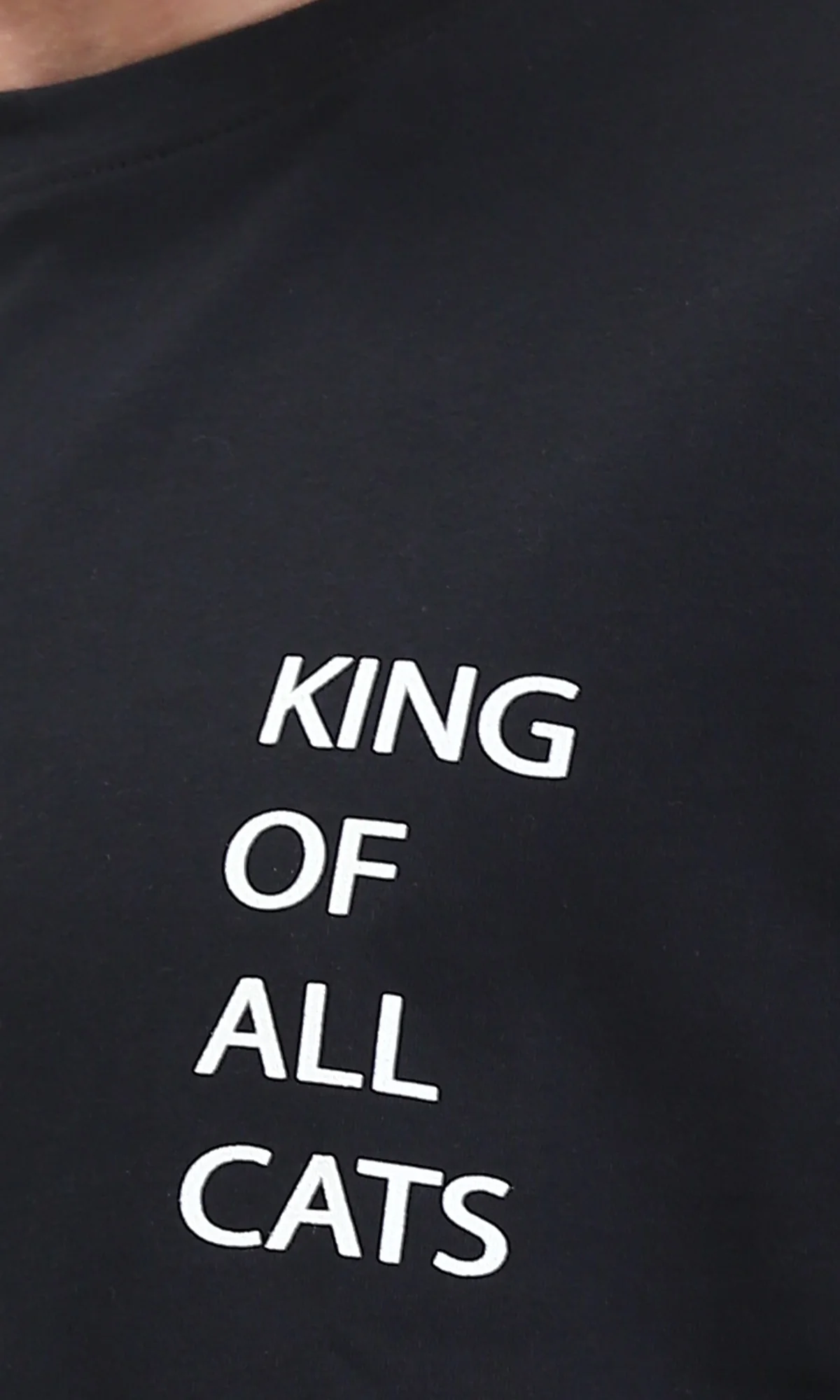 Ravin "King of All Cats" Oversized Graphic T-Shirt - R209413 - Image 3