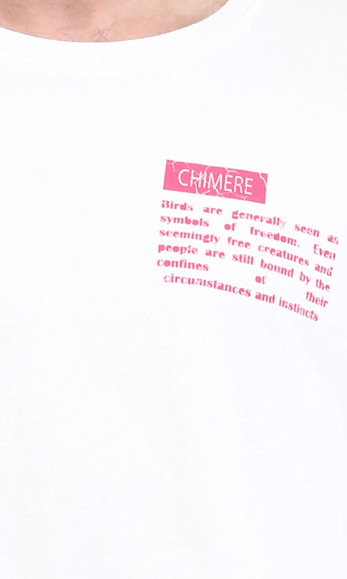 Ravin Men’s "Chimere" Graphic T-Shirt – White - R209425 - Image 3