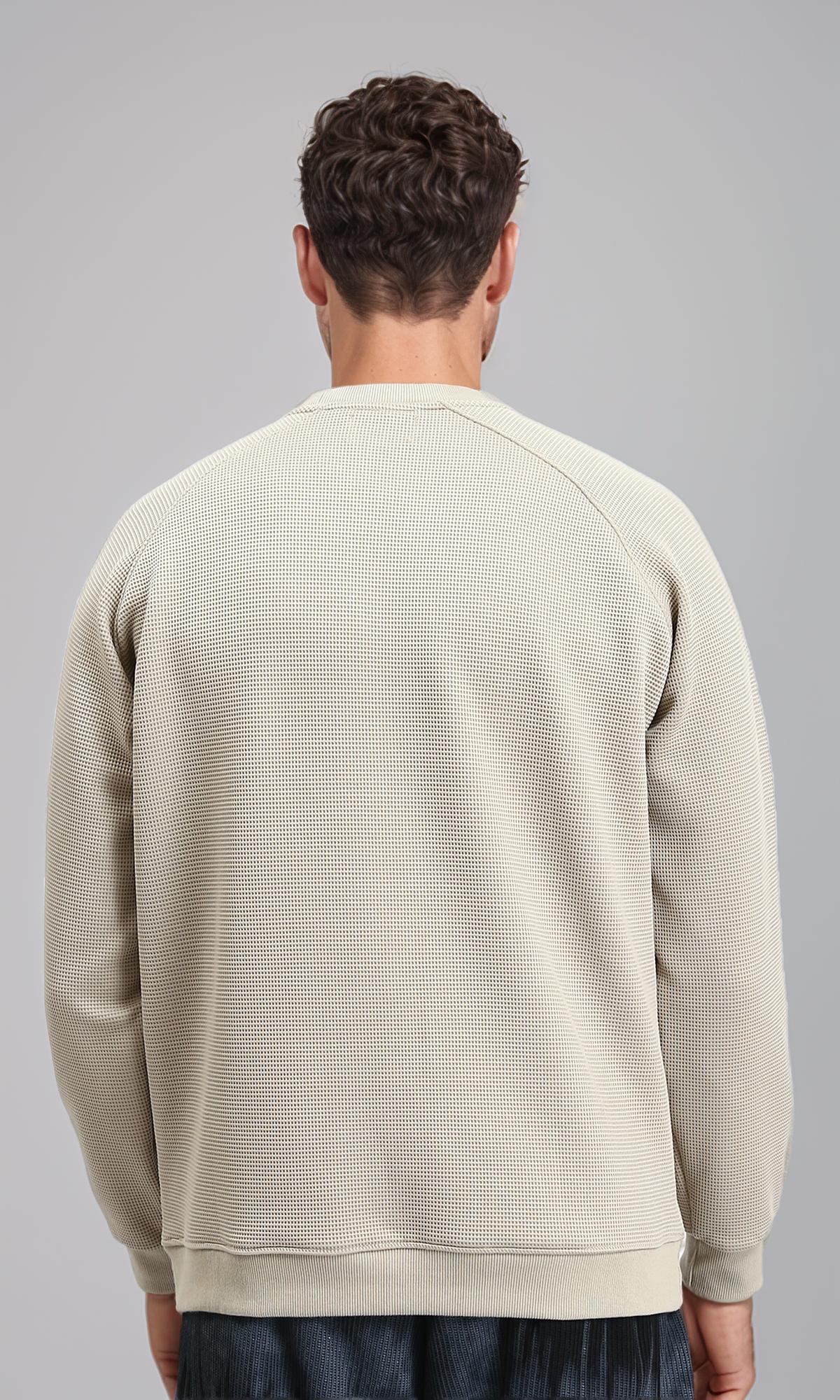 R214875 - Self Pattern Regular Fit Sweatshirt - Beige - Image 2
