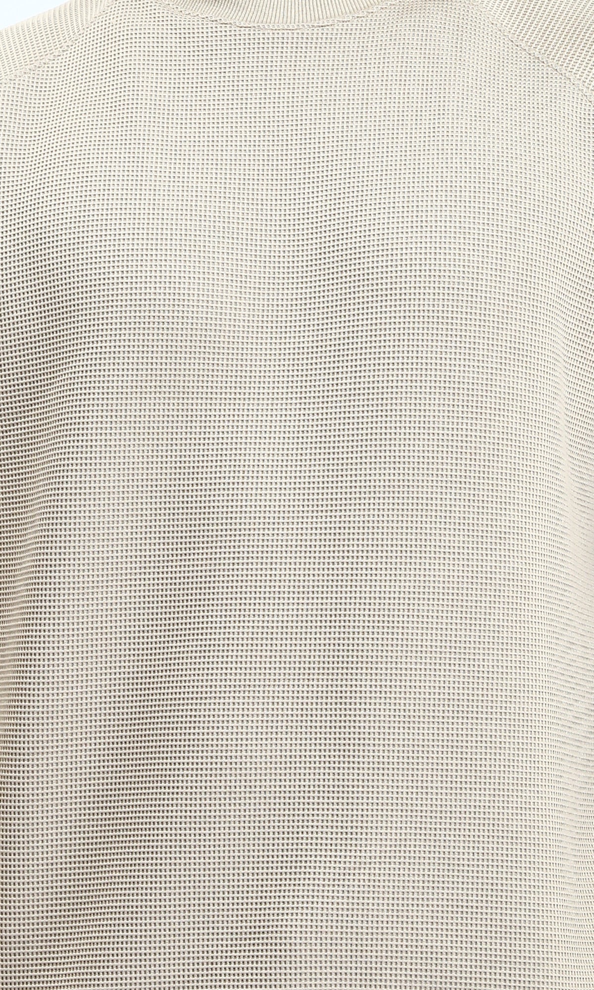 R214875 - Self Pattern Regular Fit Sweatshirt - Beige - Image 3